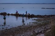 Strandfest_2015_019